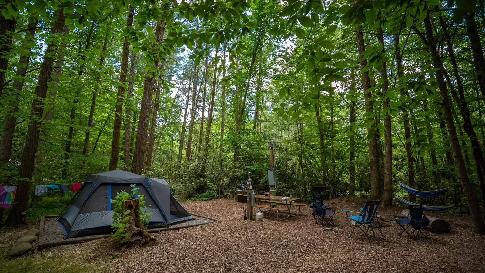 Top 5 Reasons Why Our Campground is the Perfect Destination for a Smoky ...