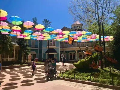 dollywood flower and food festival