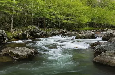 Little Pigeon River in Greenbrier