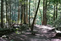 Gatlinburg Trail is one of the best easy hikes in the Smoky Mountains for families